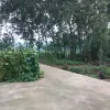 Avatar 1