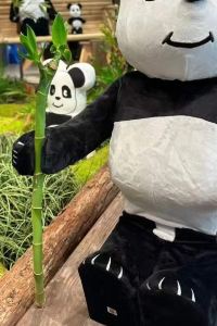 Tuiseniuziku 杜塞爾多夫紅寶石月神酒店優惠