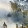 Avatar 2