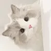 Avatar 1