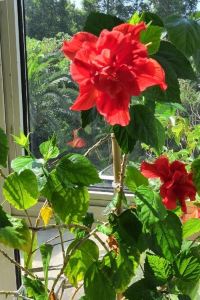 Qianlifuji 馨屯假日飯店（上海虹橋國展店）優惠