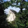 Avatar 1