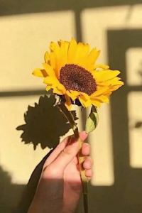 리뷰어