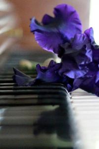 Βqingqingyuanding 濟南經十路智選假日酒店優惠