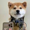 user-icon