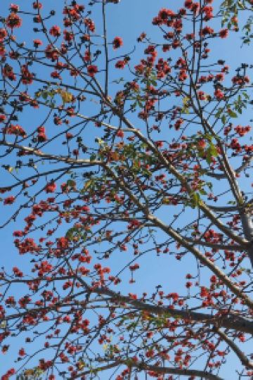 Li Lazarus 台北蜂巢-台北車站館優惠