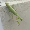 Avatar 1