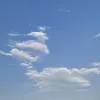 Avatar 1