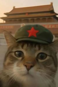 Disanshuai 釜山樂華茲酒店優惠