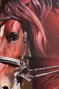 Huangzhenjiang 香港慇酒店式公寓優惠