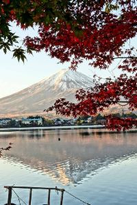 M528079**** 南京金融城名致服務公寓（奧體博覽中心店）優惠