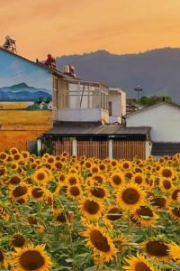 lijinpo 維也納智好飯店（東莞塘廈觀瀾湖球會店）優惠