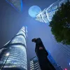 Avatar 1