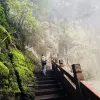 Avatar 1