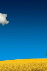 M16045**** 上海莘莊亞朵酒店優惠