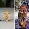 Avatar 2