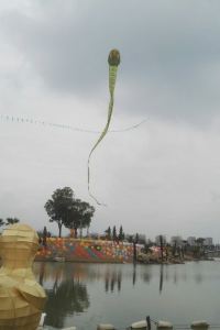 M231300**** 鳳凰大酒店優惠