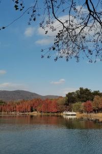 Buban 巴黎中心埃菲爾鐵塔之旅諾富特酒店優惠