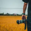 Avatar 3