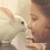 火焱火焰Huo