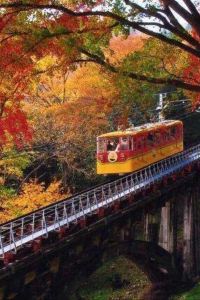 Kongfuzidezhuisuizhe 龍湖霞菲公館（杭州濱江店）優惠