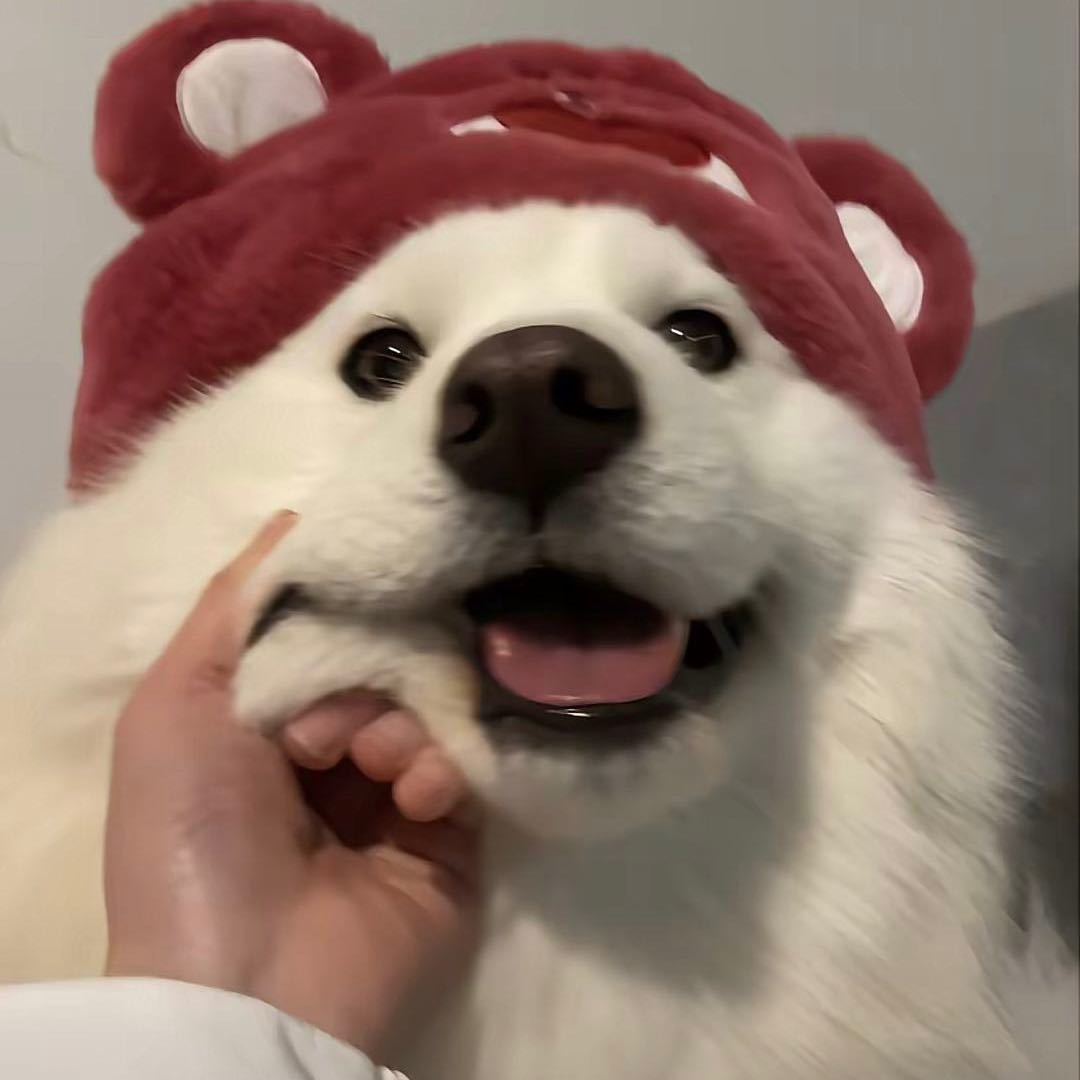 head-img