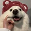user-icon