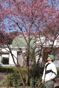 williamqu88 曼谷FX娜娜飯店優惠