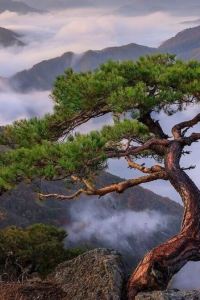 Shengbancunwuzetian 上乘假日飯店（中山長江高爾夫球場店）優惠