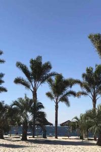 Zhaochangrong 廈門海峽世茂雙子塔海景公寓優惠