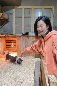 訪客用戶 御殿場市1號超級飯店優惠