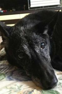 M665304**** 愛華精品酒店（深圳會展中心科學館地鐵站店）優惠