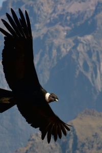 M430388**** 蘇州溫德姆花園飯店優惠