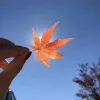 Avatar 3