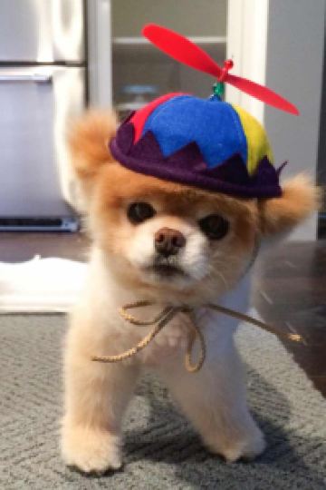 Evelyn Suen 星野リゾート 界 霧島 クーポン