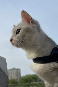 Xinze3 珠海星城大酒店優惠