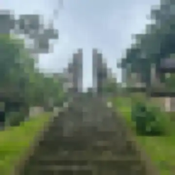 巴格达的小朋友