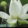 Avatar 1