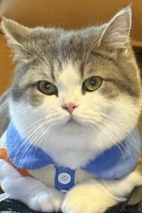 Zhangkuaishui 大理印象水月隱世飯店優惠