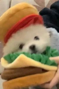 M477964**** 錦江之星風尚（福州宜家鼓山店）優惠