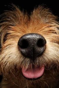 M738806**** 維也納飯店（深圳國際會展中心沙井地鐵站店）優惠