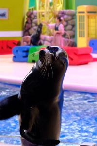 M29388**** 佛山東江國際大酒店優惠