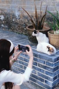 ～xin～. 朋來澳斯特公寓（陽江高鐵站金融中心店）優惠