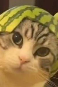 LMYLI Trip7箱根仙石原溫泉飯店優惠