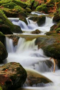 Furongjiudianyongpin@liweirong 如家商旅飯店（上海打浦橋日月光中心店）優惠