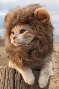 Kay Yuan 深圳南山亞朵S酒店優惠