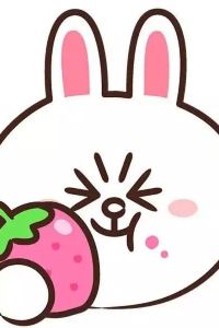 💞xiaoxiaocaizhou💞