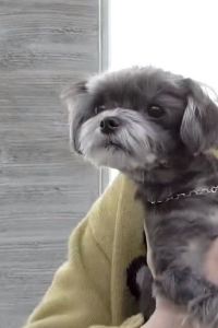 La Maria ⁷ 北京花間堂·後海優惠