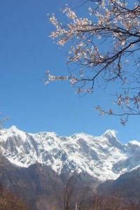 Jieshu 廈門隱山海景民宿優惠