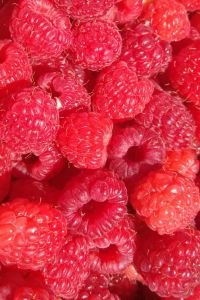 Jiaoyonghui 獨山子西戈瑪國際飯店優惠